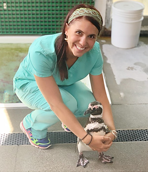 Image of Dr Jamie Gerlach caring for a penguin at the Kansas City zoo