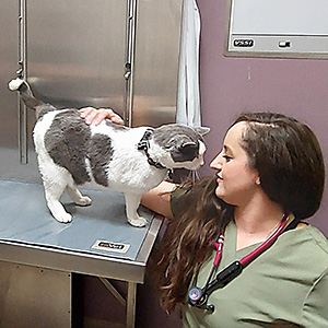 Dr. Emily James Veterinarian with a Cat at Blue-Springs-Animal-Hospital in Kansas City